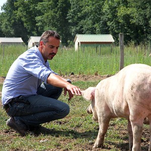 Jean Dijols et ses cochons d'Auvergne